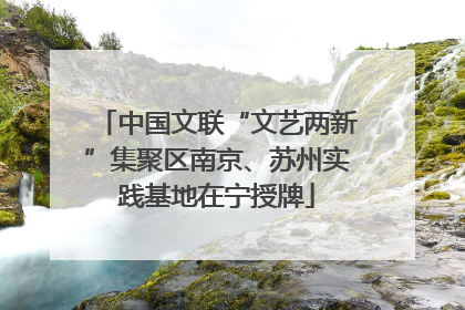 中国文联“文艺两新”集聚区南京、苏州实践基地在宁授牌