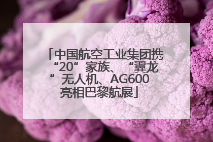 中国航空工业集团携“20”家族、“翼龙”无人机、AG600亮相巴黎航展