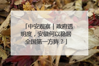 中安观察｜政府透明度，安徽何以稳居全国第一方阵？