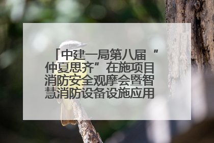 中建一局第八届“仲夏思齐”在施项目消防安全观摩会暨智慧消防设备设施应用交流会成功举办