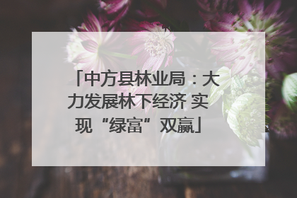 中方县林业局：大力发展林下经济 实现“绿富”双赢