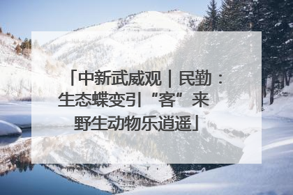 中新武威观｜民勤：生态蝶变引“客”来 野生动物乐逍遥