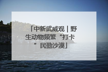 中新武威观｜野生动物频繁“打卡”民勤沙漠