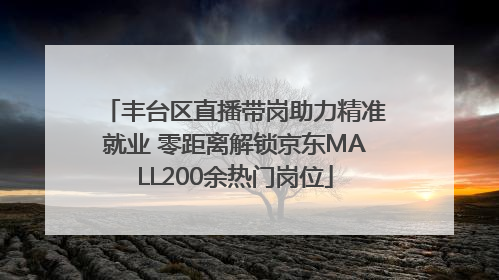 丰台区直播带岗助力精准就业 零距离解锁京东MALL200余热门岗位