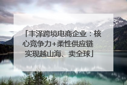 丰泽跨境电商企业：核心竞争力+柔性供应链 实现越山海、卖全球