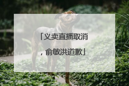 义卖直播取消，俞敏洪道歉