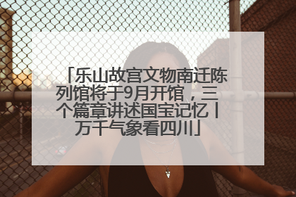 乐山故宫文物南迁陈列馆将于9月开馆，三个篇章讲述国宝记忆丨万千气象看四川