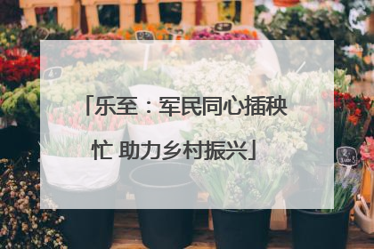 乐至：军民同心插秧忙 助力乡村振兴