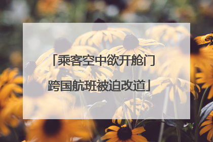 乘客空中欲开舱门 跨国航班被迫改道