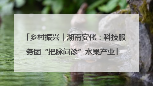 乡村振兴｜湖南安化：科技服务团“把脉问诊”水果产业