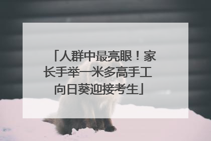 人群中最亮眼！家长手举一米多高手工向日葵迎接考生