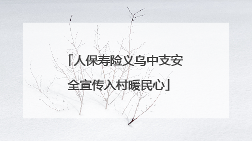 人保寿险义乌中支安全宣传入村暖民心
