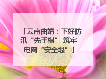 云南曲靖：下好防汛“先手棋” 筑牢电网“安全堤”