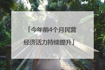 今年前4个月民营经济活力持续提升