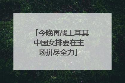 今晚再战土耳其 中国女排要在主场拼尽全力