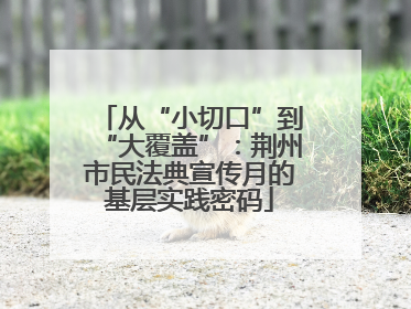 从“小切口”到“大覆盖”：荆州市民法典宣传月的基层实践密码