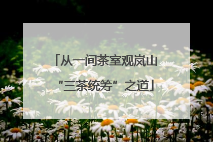 从一间茶室观岚山“三茶统筹”之道