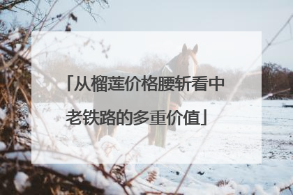 从榴莲价格腰斩看中老铁路的多重价值