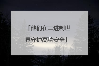他们在二进制世界守护高墙安全