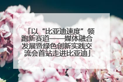 以“比亚迪速度”领跑新赛道——媒体融合发展暨绿色创新实践交流会首站走进比亚迪