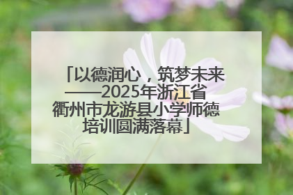 以德润心，筑梦未来——2025年浙江省衢州市龙游县小学师德培训圆满落幕