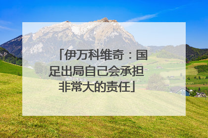 伊万科维奇：国足出局自己会承担非常大的责任