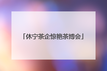 休宁茶企惊艳茶博会
