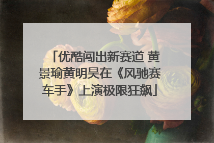 优酷闯出新赛道 黄景瑜黄明昊在《风驰赛车手》上演极限狂飙