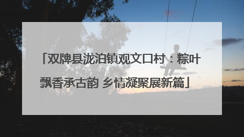 双牌县泷泊镇观文口村：粽叶飘香承古韵 乡情凝聚展新篇