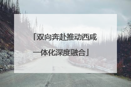 双向奔赴推动西咸一体化深度融合