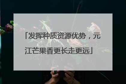 发挥种质资源优势，元江芒果香更长走更远