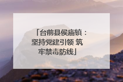 台前县侯庙镇：坚持党建引领 筑牢禁毒防线