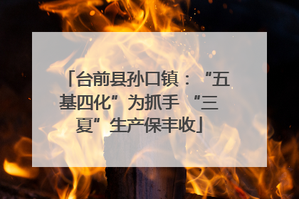 台前县孙口镇：“五基四化”为抓手 “三夏”生产保丰收