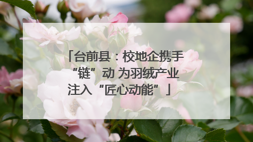 台前县：校地企携手“链”动 为羽绒产业注入“匠心动能”