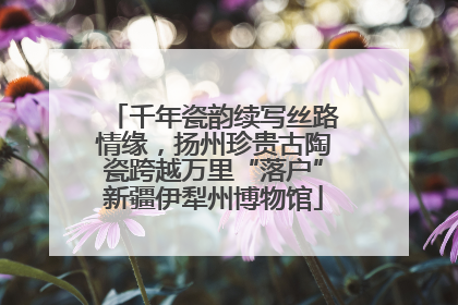 千年瓷韵续写丝路情缘，扬州珍贵古陶瓷跨越万里“落户”新疆伊犁州博物馆