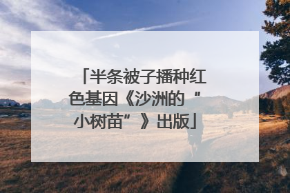 半条被子播种红色基因《沙洲的“小树苗”》出版