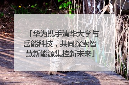 华为携手清华大学与岳能科技，共同探索智慧新能源集控新未来