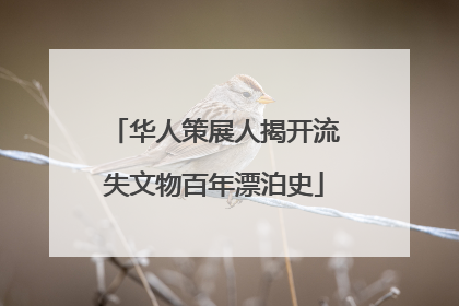 华人策展人揭开流失文物百年漂泊史