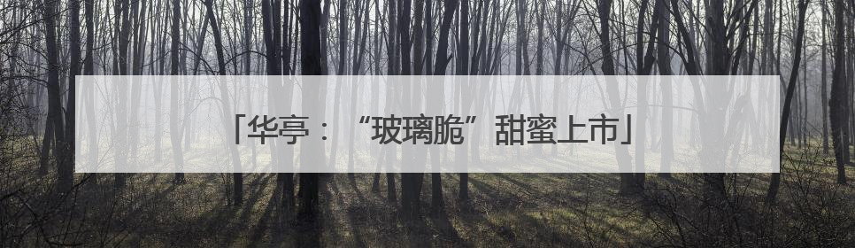 华亭：“玻璃脆”甜蜜上市