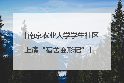 南京农业大学学生社区上演“宿舍变形记”