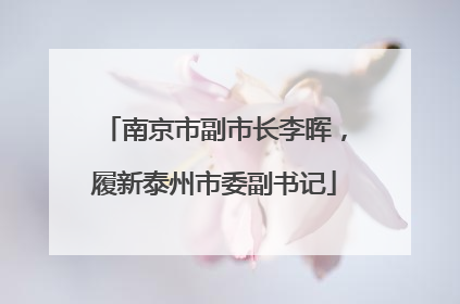 南京市副市长李晖，履新泰州市委副书记