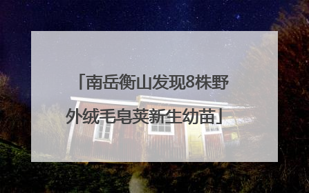 南岳衡山发现8株野外绒毛皂荚新生幼苗