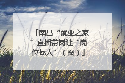 南昌“就业之家”直播带岗让“岗位找人”（图）