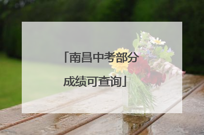 南昌中考部分成绩可查询