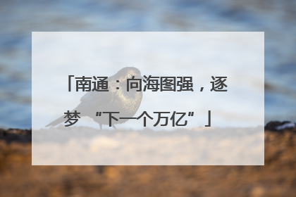 南通：向海图强，逐梦 “下一个万亿”