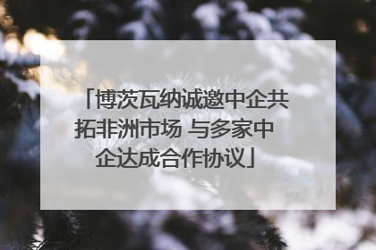 博茨瓦纳诚邀中企共拓非洲市场 与多家中企达成合作协议