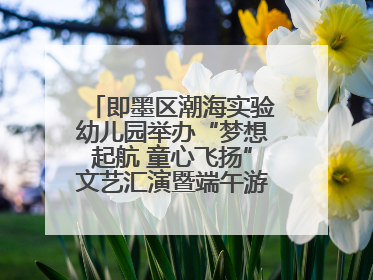 即墨区潮海实验幼儿园举办“梦想起航 童心飞扬”文艺汇演暨端午游园会活动