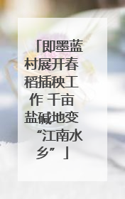 即墨蓝村展开春稻插秧工作 千亩盐碱地变“江南水乡”