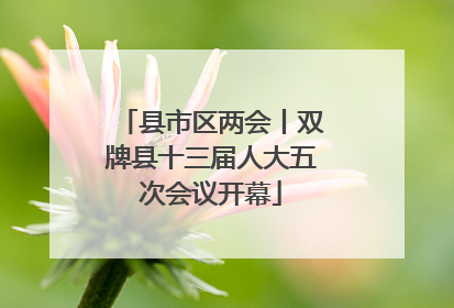 县市区两会丨双牌县十三届人大五次会议开幕
