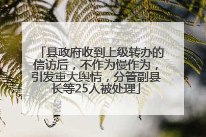县政府收到上级转办的信访后，不作为慢作为，引发重大舆情，分管副县长等25人被处理